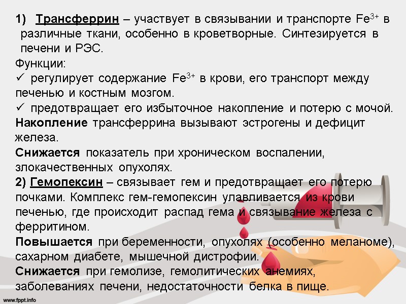 Трансферрин – участвует в связывании и транспорте Fe3+ в различные ткани, особенно в кроветворные.